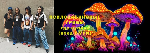 таблы Заводоуковск