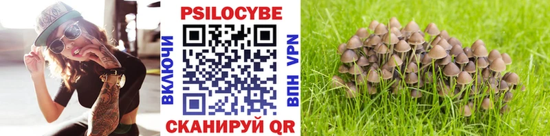 Псилоцибиновые грибы MAGIC MUSHROOMS  Купить где  Калач 